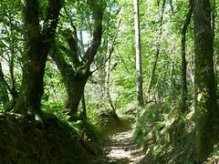 L'Oilarandoi en boucle depuis Saint-Étienne-de-Baïgorry