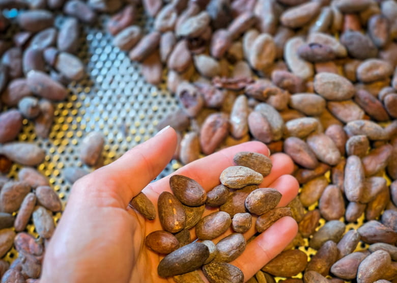 Fabrique de Chocolat